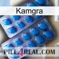 Kamgra viagra2